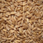 7,5kg farro biologico (DE-ÖKO-006)