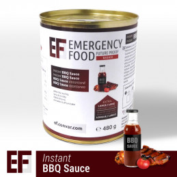 EF BASICS BBQ Sauce (480g)