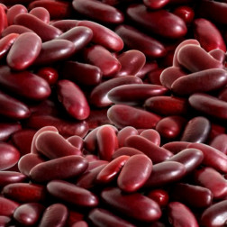 CONVAR™ Feldküche Basics Haricots rouges (300g)