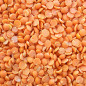 CONVAR™ Feldküche Basics Red Lentils (350g)