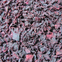 CONVAR™ Feldküche Basics Rote Bete Würfel (300g)