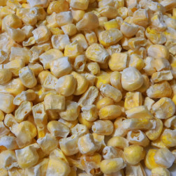 CONVAR™ Feldküche Basics Maiskörner (150g)