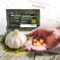 CONVAR™ Feldküche Operational food SnackPack, flavor: Garlic (22g)