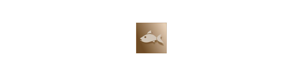 plat-principal-avec-du-poisson-trek-outdoor-fr-76